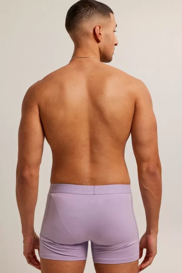 Ondergoed & Lounge<America Today Boxershort Alex Blue/brown | Sky | Lilac