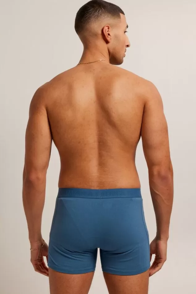 Ondergoed & Lounge<America Today Boxershort Alex Blue/brown | Sky | Lilac