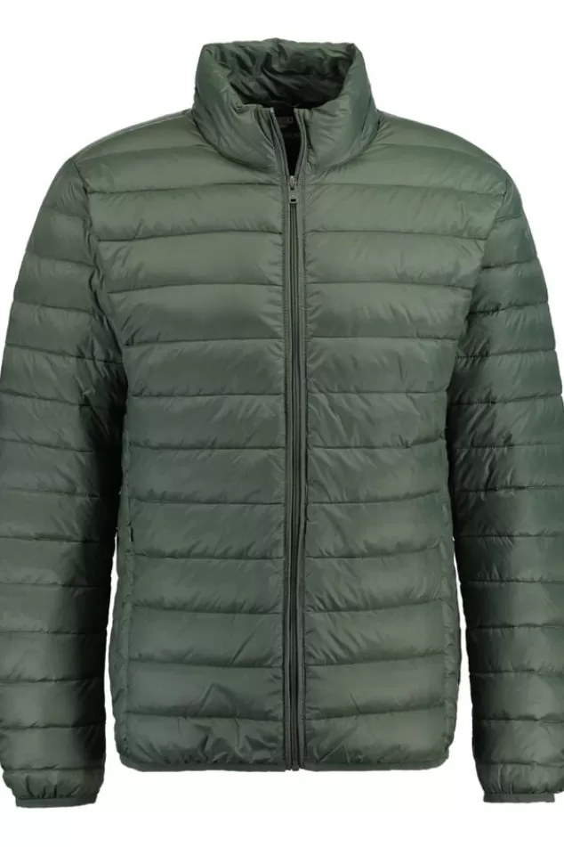Jassen<America Today Gewatteerde jas Black | Army