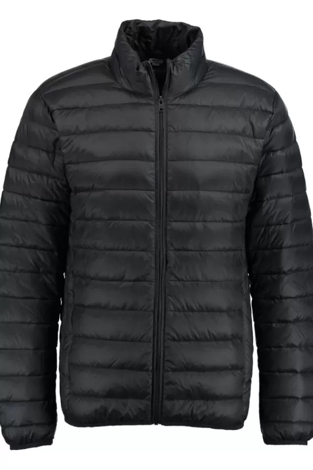 Jassen<America Today Gewatteerde jas Black | Army