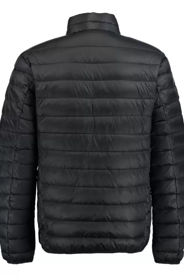 Jassen<America Today Gewatteerde jas Black | Army