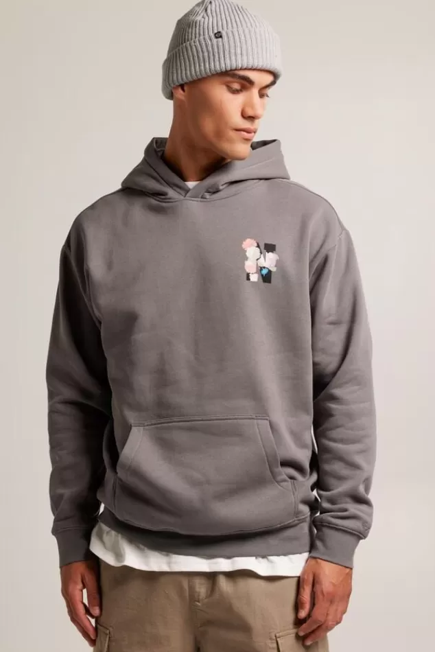 Truien & Vesten | Sweaters & hoodies<America Today Hoodie Shawn Hood Titan