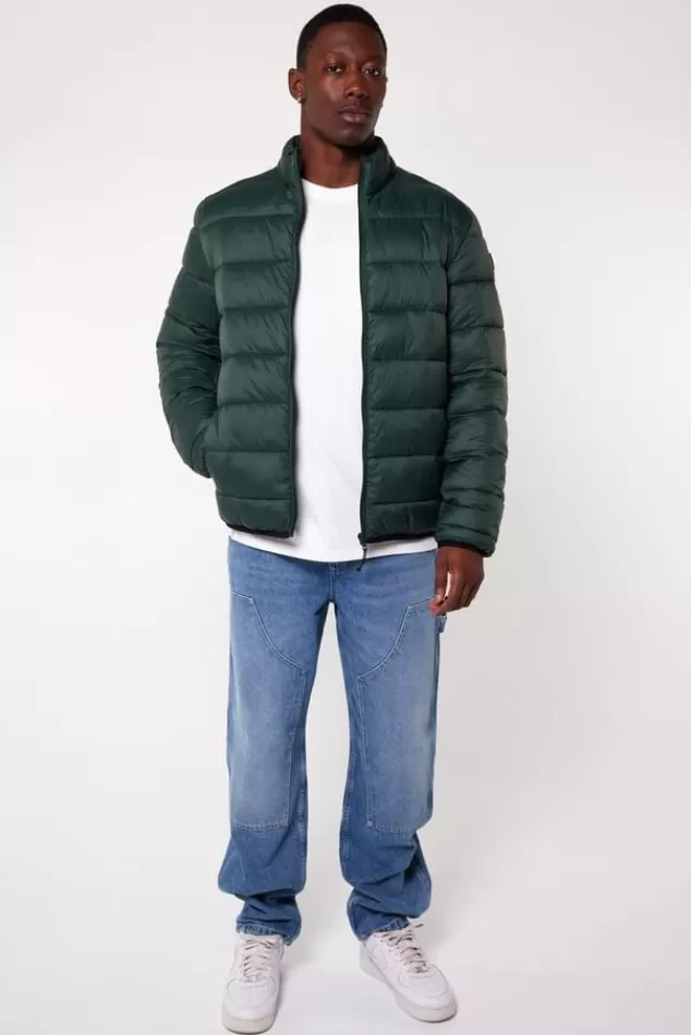 Jassen<America Today Jas Jim Black | Green