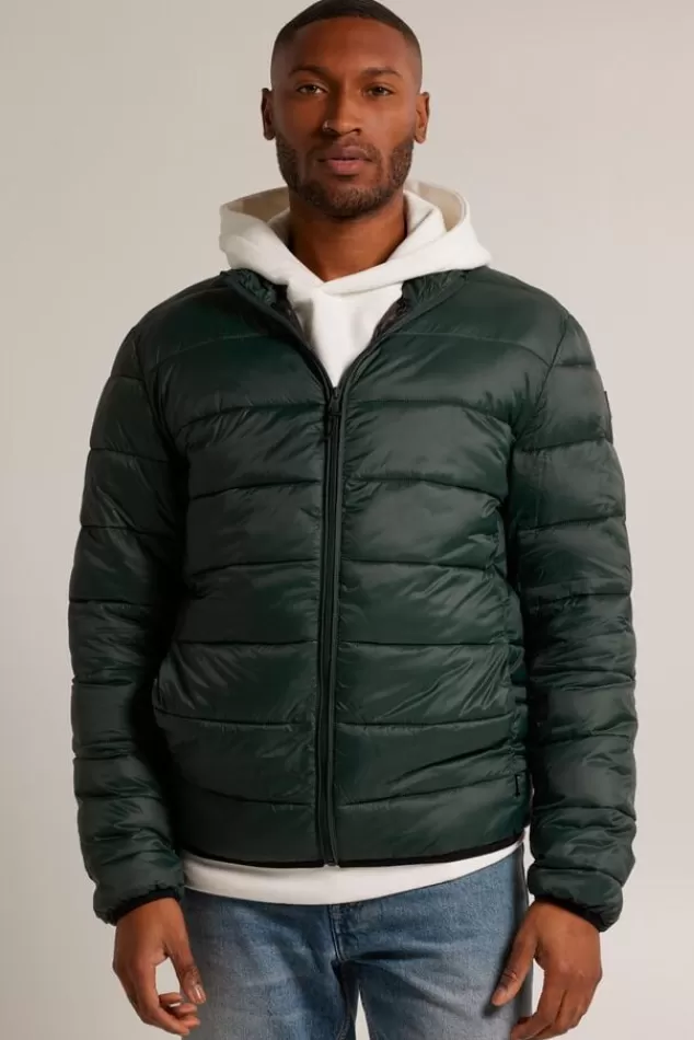 Jassen<America Today Jas Jim Black | Darkblue | Green