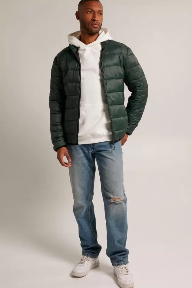 Jassen<America Today Jas Jim Black | Darkblue | Green