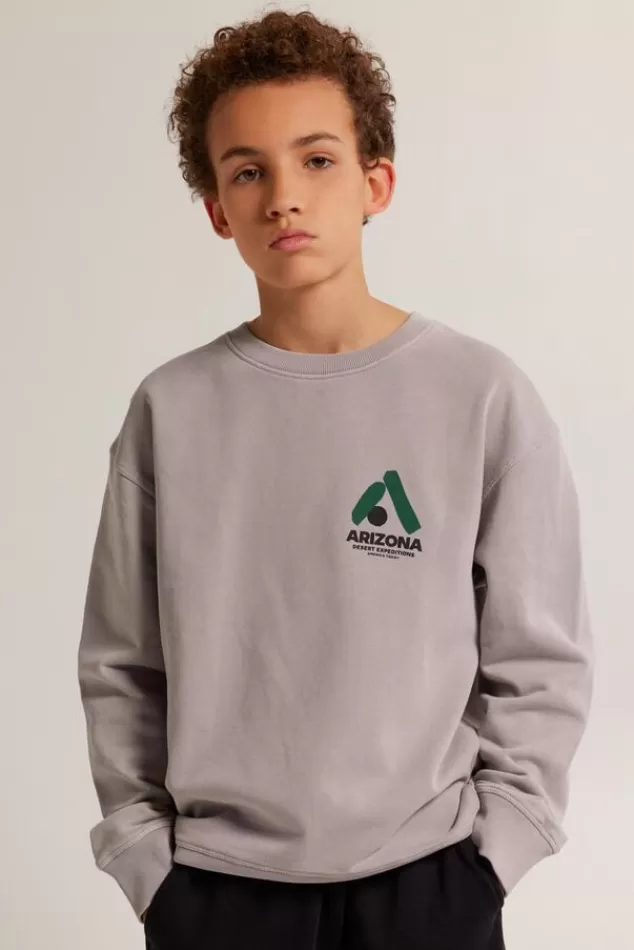 Truien & Vesten | Sweaters & hoodies<America Today Sweater Sky Crew JR Lightgrey | Greencast