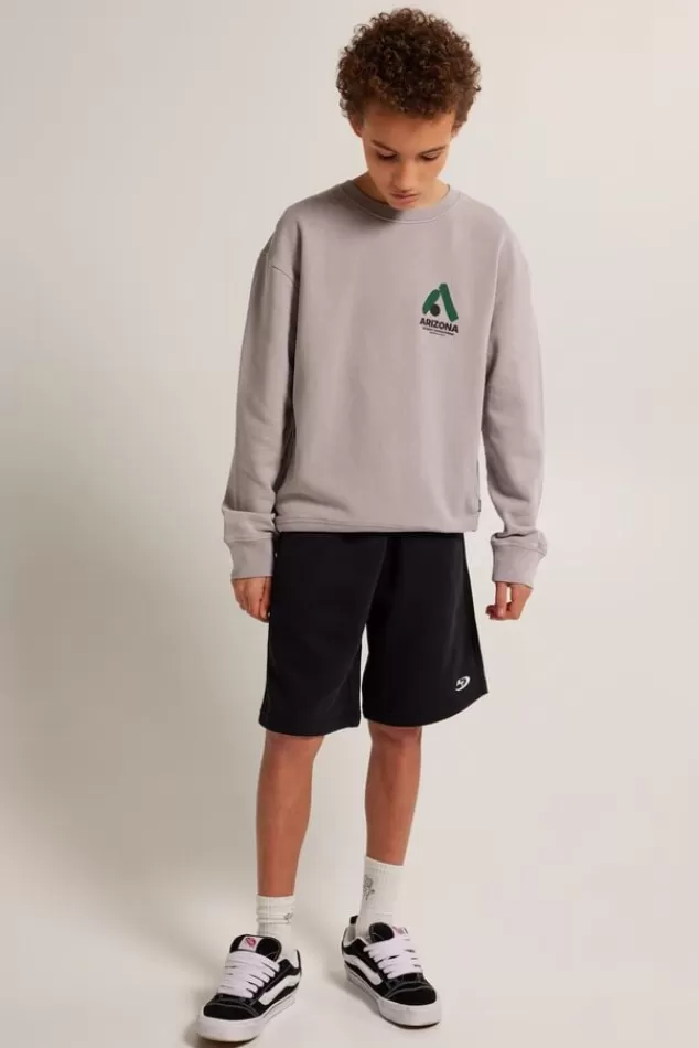 Truien & Vesten | Sweaters & hoodies<America Today Sweater Sky Crew JR Lightgrey | Greencast