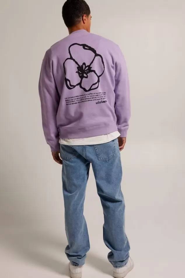 Sweaters & hoodies | Truien & Vesten<America Today Sweater Stan Crew Lilac