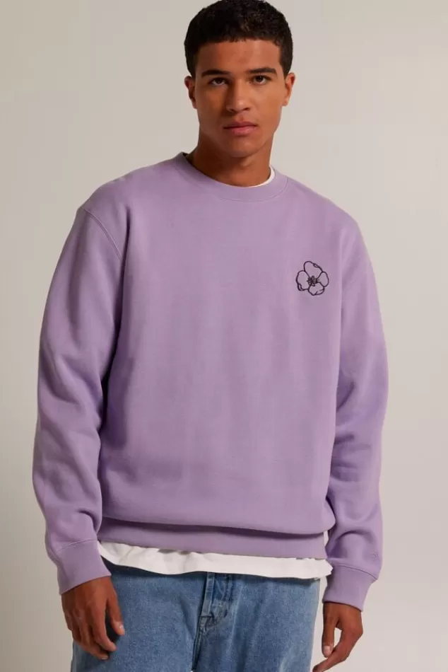 Sweaters & hoodies | Truien & Vesten<America Today Sweater Stan Crew Lilac