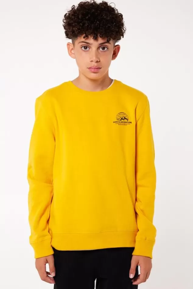 Truien & Vesten | Sweaters & hoodies<America Today Sweater Stray Crew JR Yellow