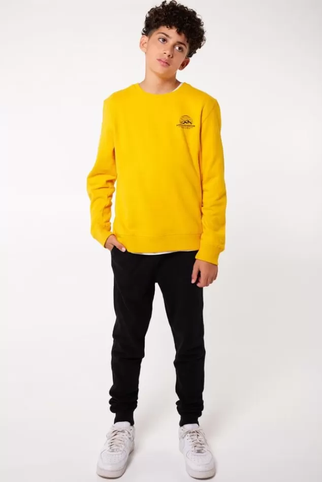 Truien & Vesten | Sweaters & hoodies<America Today Sweater Stray Crew JR Yellow