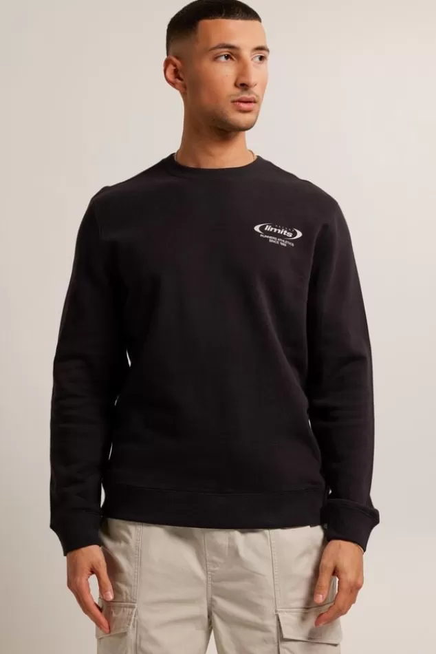 Truien & Vesten | Sweaters & hoodies<America Today Sweater Sylver crew Washedblack