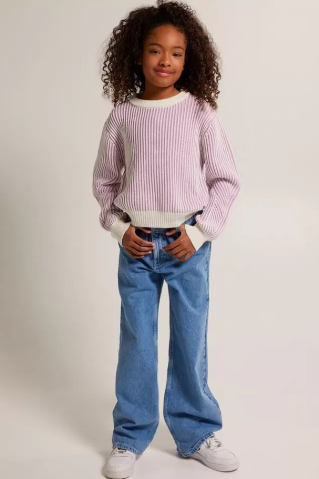 Truien & Vesten<America Today Trui Kali JR Sage | Lilac