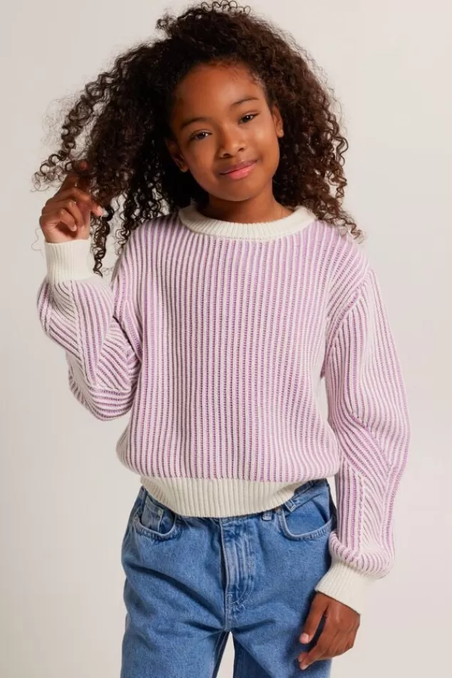 Truien & Vesten<America Today Trui Kali JR Sage | Lilac
