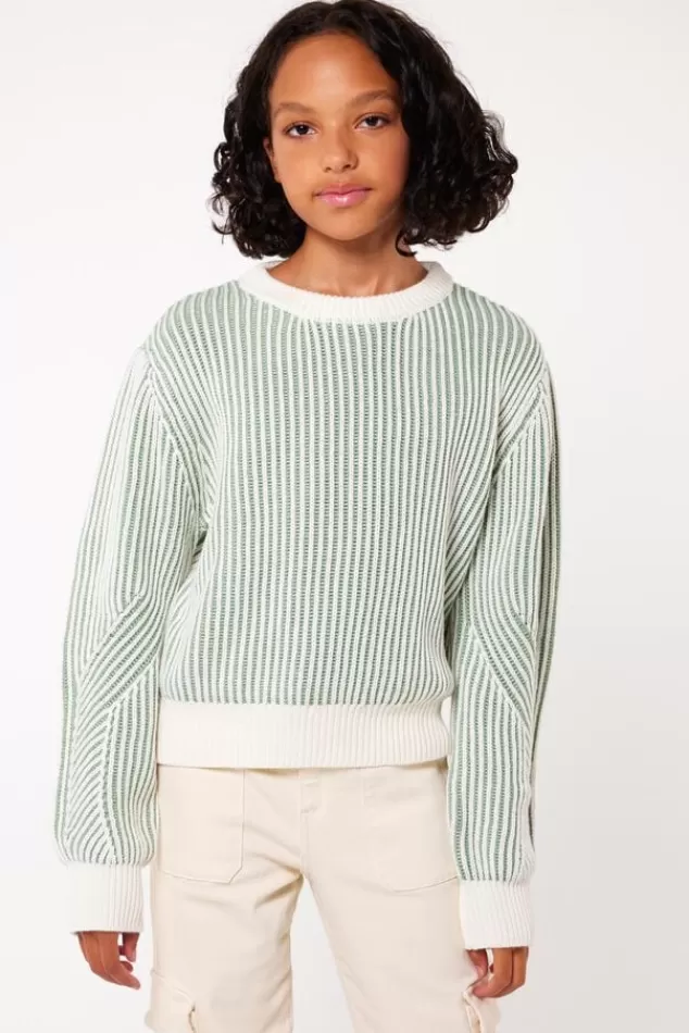Truien & Vesten<America Today Trui Kali JR Sage | Lilac