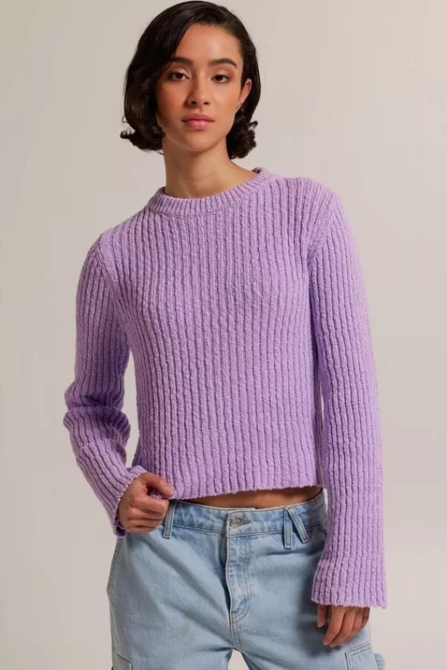 Truien & Vesten<America Today Trui Koko Lilac/purple | Kit